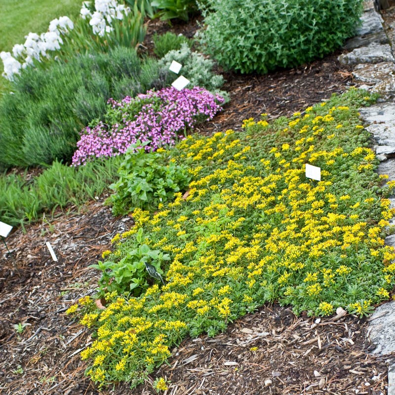 Herb Garden