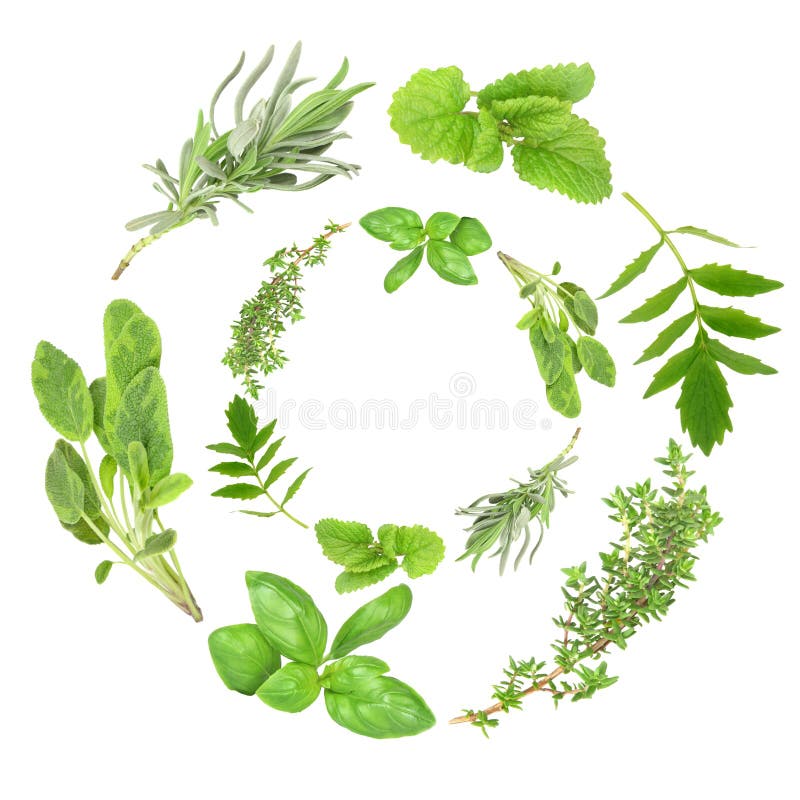 Herb Garlands