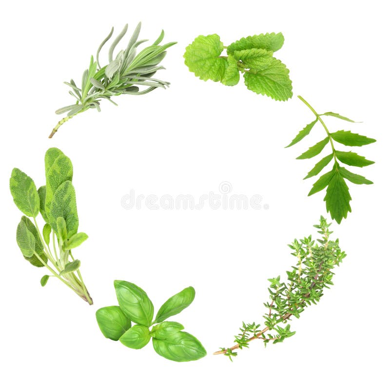 Herb Leaf Garland