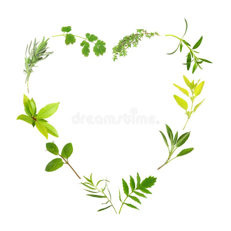 Herb Leaf Heart