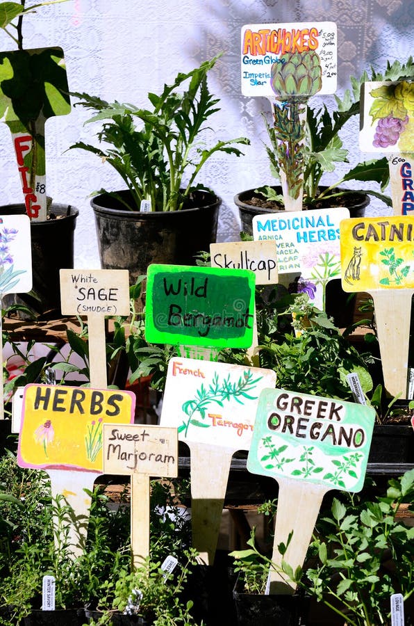 Market Sign stock image. Image of market, vintage, plant 34515469