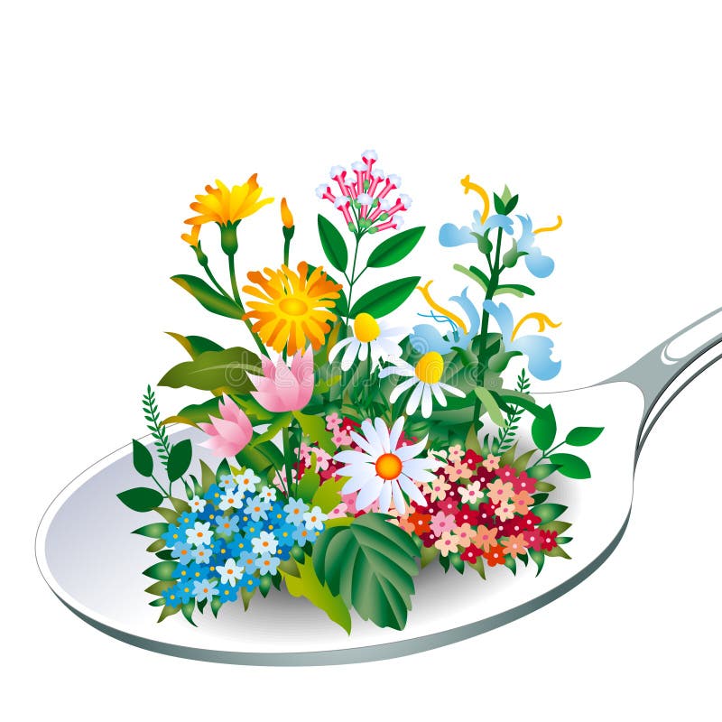 Herb Spoon of health stock vector. Illustration of foliage 6195881