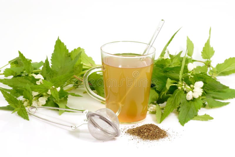 Herb Tea stock image. Image of leafs, green, blossoms 4819599