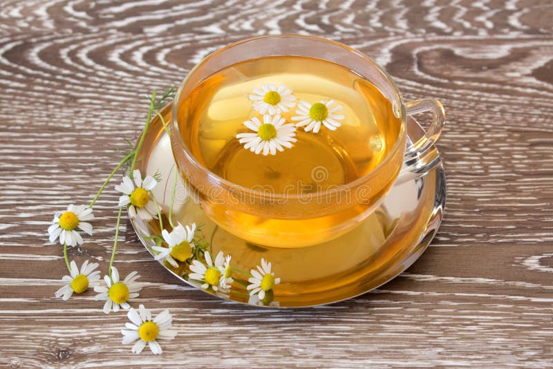 Herb Tea with Fresh Chamomile Stock Photo Image of brew, table 141278120