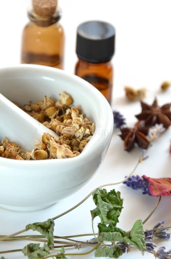 Herbal apothecary stock photo. Image of bottle, science 29069696