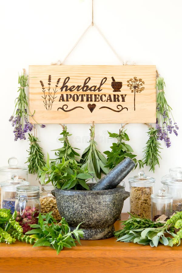 Herbal Apothecary with herb dryer, fresh herbs, jars and mortar and pestle