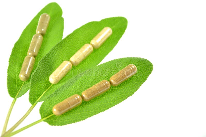 Herbal Capsules on Sage Leaves Stock Image Image of capsule