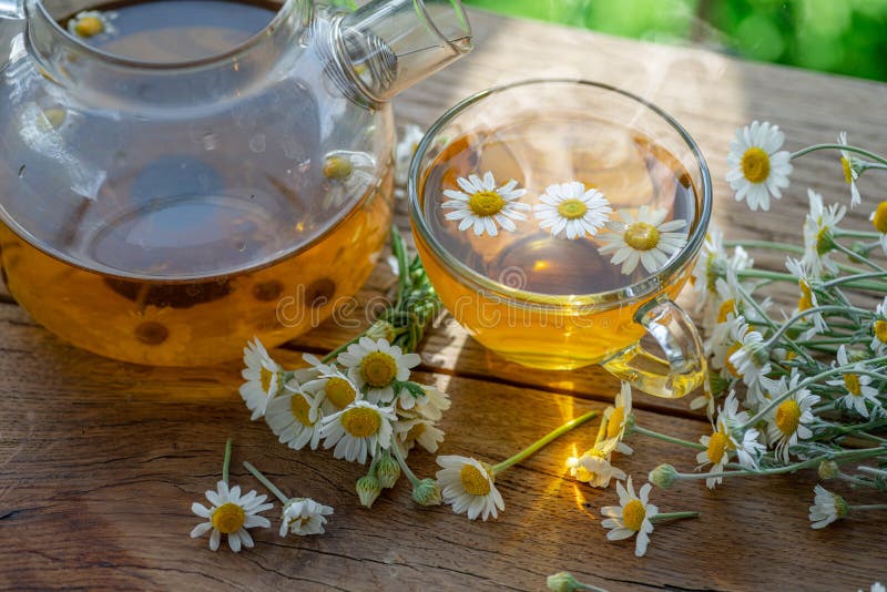 Herbal Chamomile Tea and Chamomile Flowers on Wooden Table. Top View