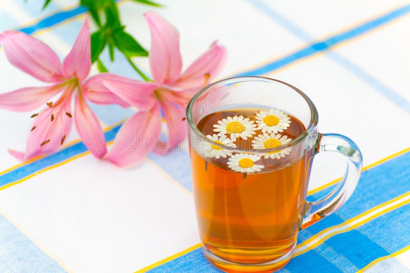 Herbal Tea of a Chamomile Flowers Stock Photo Image of medicinal