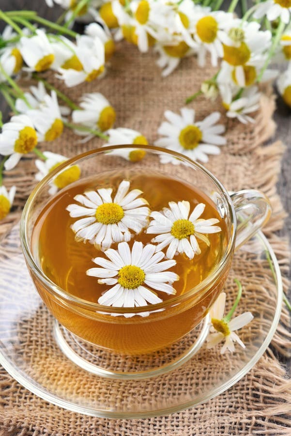 Herbal Tea with Chamomile Flowers Stock Image Image of lifestyle