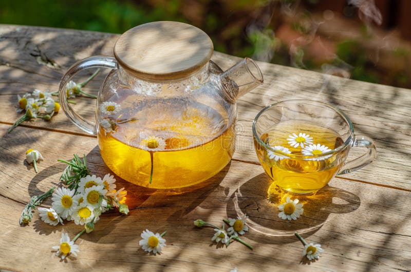 Herbal chamomile tea och chamomile-blommor nära teapot och teglas på träbord. landskapsbakgrund royaltyfri fotografi
