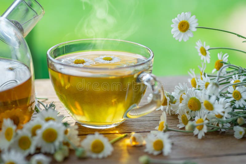Herbal chamomile tea och chamomile-blommor nära teapot och teglas på träbord. landskapsbakgrund arkivbilder