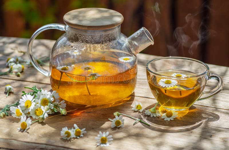 Herbal chamomile tea och chamomile-blommor nära teapot och teglas på träbord. landskapsbakgrund royaltyfria foton