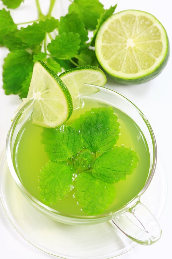 130+ Green herbal tea fresh mint Free Stock Photos StockFreeImages
