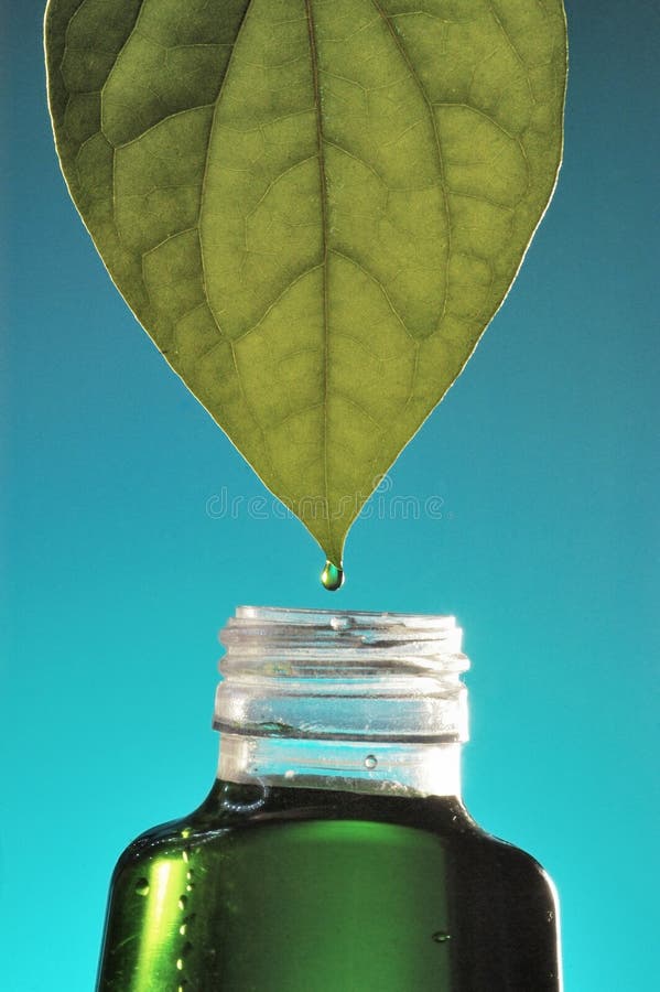 Herbal medicine royalty free stock photos Herbal medicine royalty free stock photos
