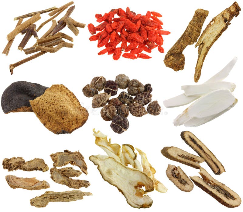 Traditional Chinese Tonic Herbs Stock Image Image of traditional, tonic 21315199