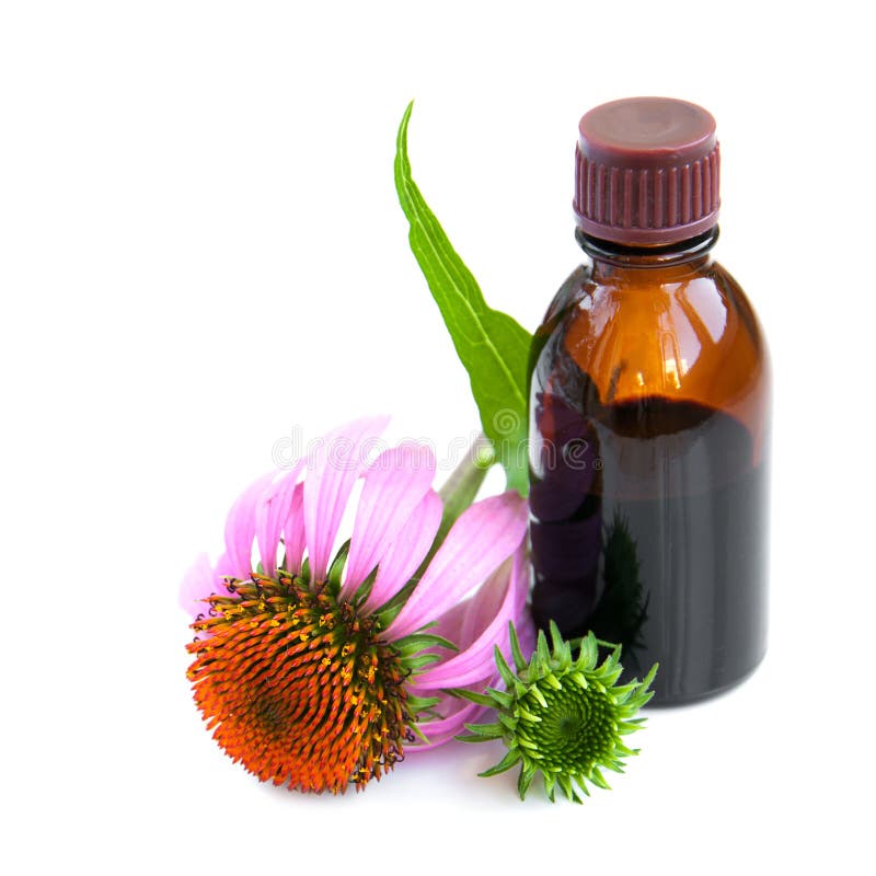 Herbal medicine stock photo. Image of preparation, beauty 36220044