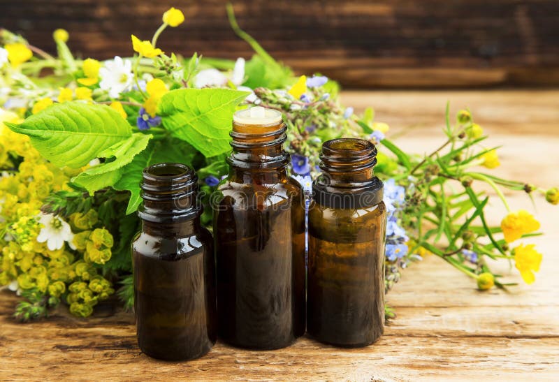 Herbal Medicine with Plants Extracts and Essence Bottles Stock Image