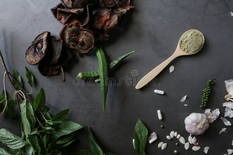 Herbal Medicines stock image. Image of leaf, mortar 132324787
