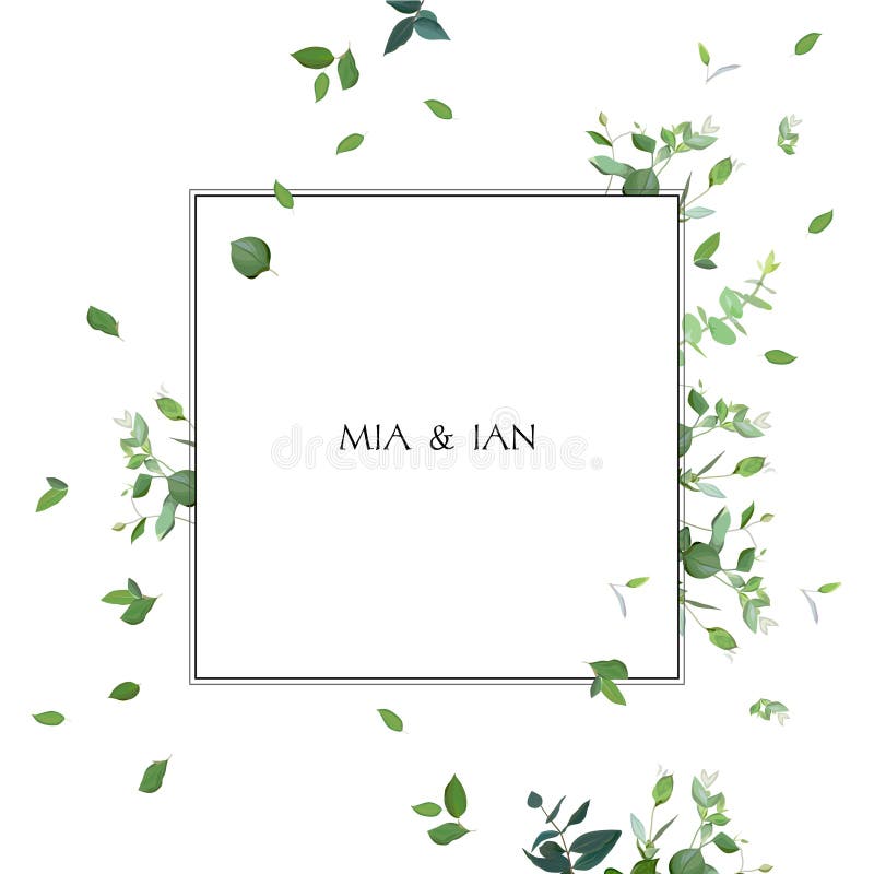 Herbal minimalistic square vector frame vector illustration