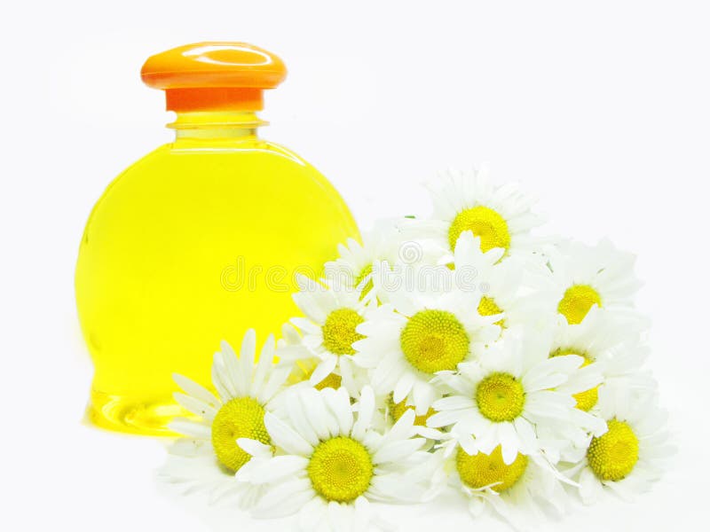 Herbal natural shampoo bottle among daisy flowers