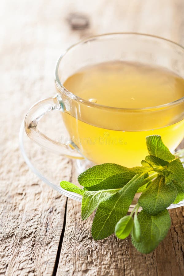 Herbal Sage Tea with Green Leaf in Glass Cup Stock Photo Image of
