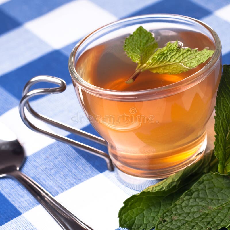Herbal Mint Tea Picnic in Nature Stock Image Image of cloth, leaves