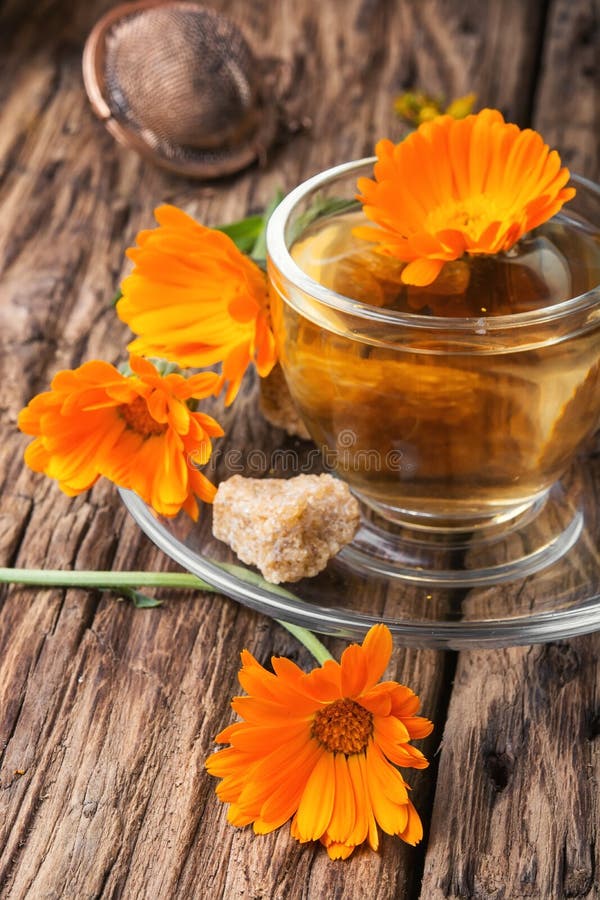 Herbal Tea with Calendula Flowers Stock Photo Image of pharmacy