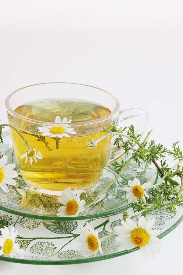 Herbal tea of chamomile stock photo. Image of people 39130060