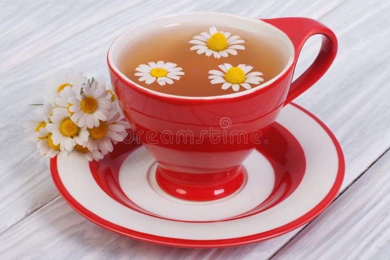 Herbal Tea with Chamomile Flowers Stock Image Image of liquid
