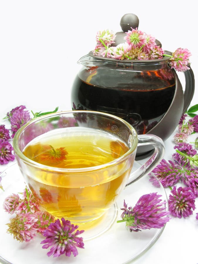 Herbal tea with clover flowers