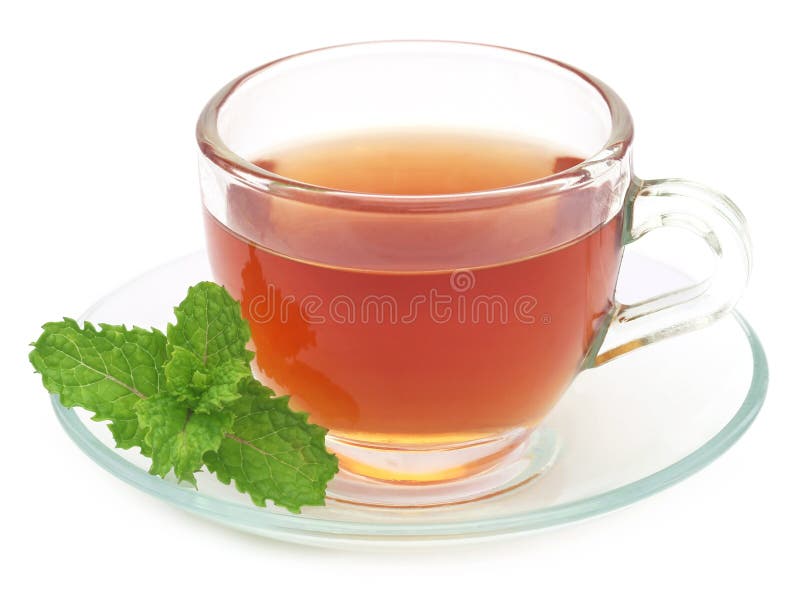Herbal Tea in a Cup with Mint Leaves Stock Image Image of white, herbal 74442821