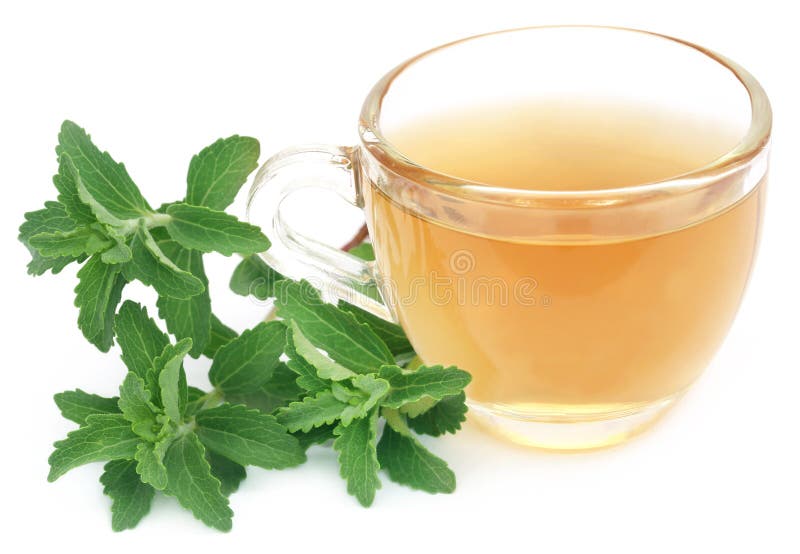 Herbal Tea in a Cup with Stevia Leaves Stock Photo Image of isolated