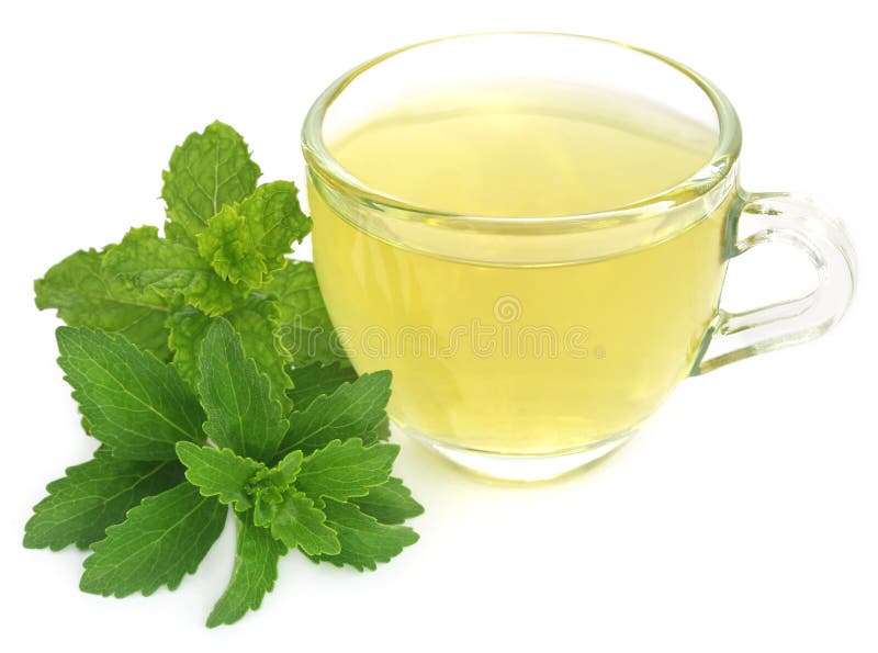 Herbal Stevia Tea stock image. Image of calorie, closeup 184020471
