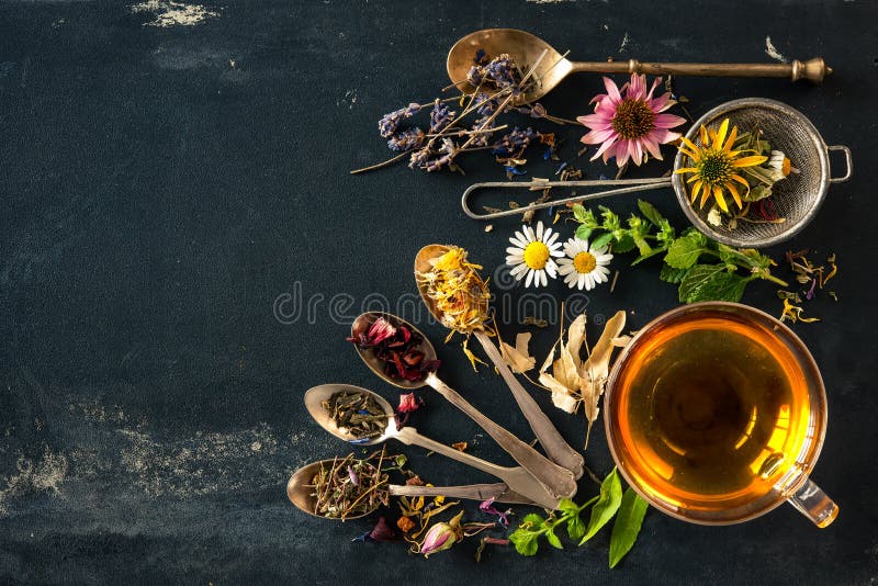 Herbal tea. Cup of herbal tea with wild flowers and various herbs royalty free stock photography