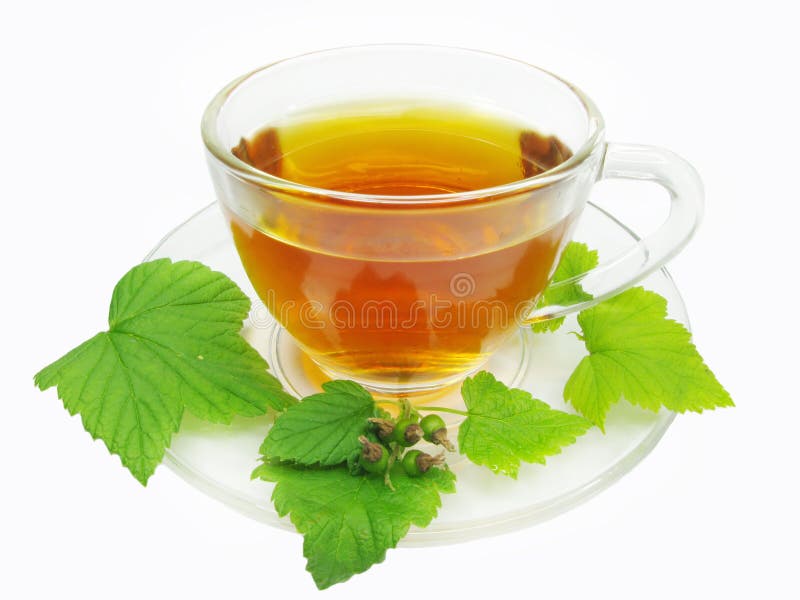 Herbal tea with currant extract