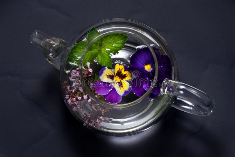 Herbal tea with flowers. stock photo. Image of origanum 43395634