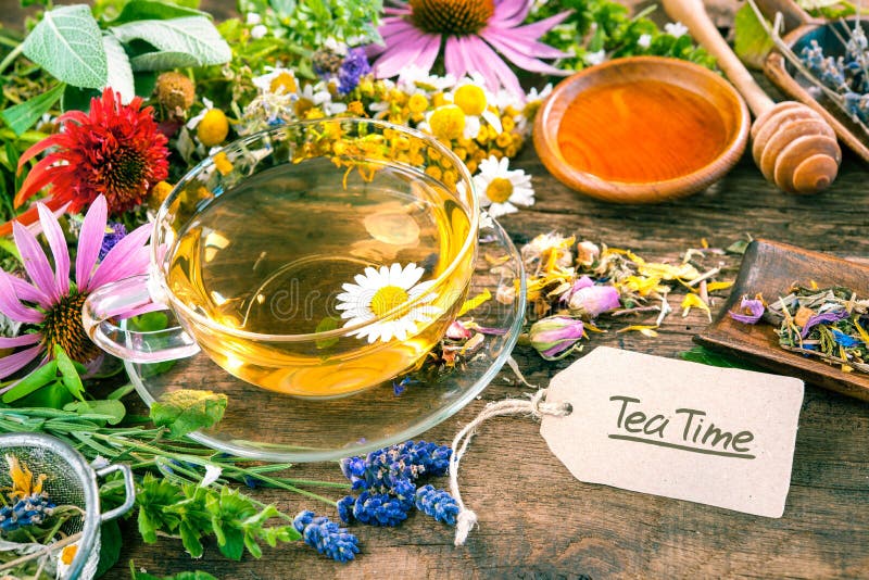 Herbal tea and honey stock photo. Image of ingredient 23841656