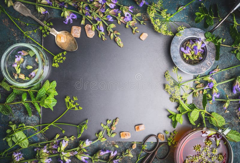 Herbal tea ingredients with various fresh herbs and flowers, cup of tea and tools on black chalkboard background royalty free stock images Herbal tea ingredients with various fresh herbs and flowers, cup of tea and tools on black chalkboard background royalty free stock images
