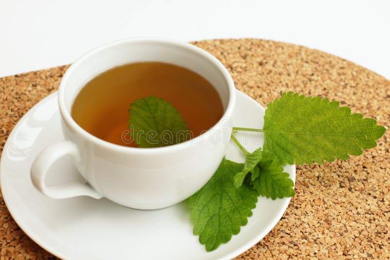 Herbal Tea with Lemon Balm / Melissa Officinalis/ Stock Photo Image