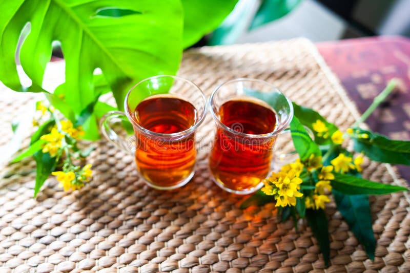 Herbal Tea Made from St. John`s Wort, Organic Tea with Herbal Hy Stock