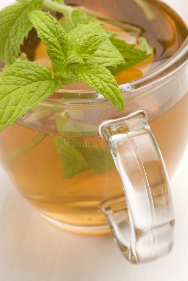 Mint leaves stock image. Image of close, leaves, leaf 19889671