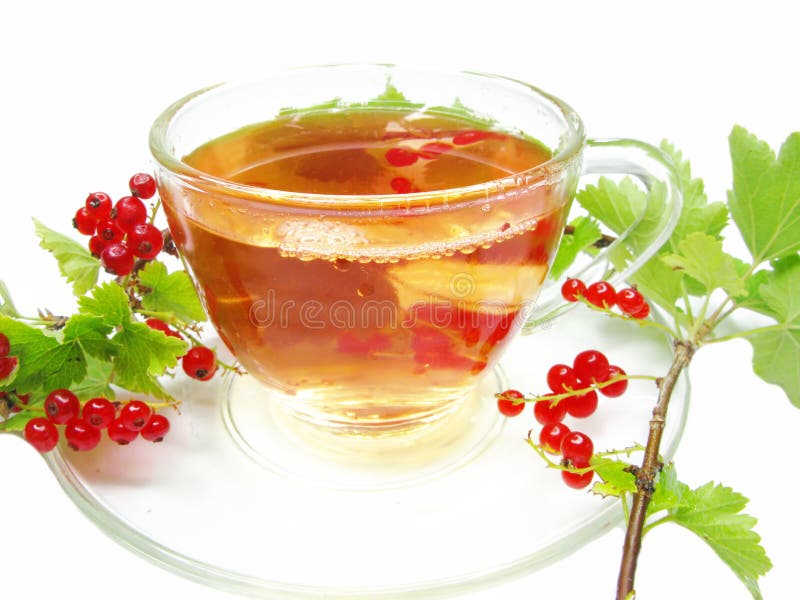 Herbal tea with red currant extract