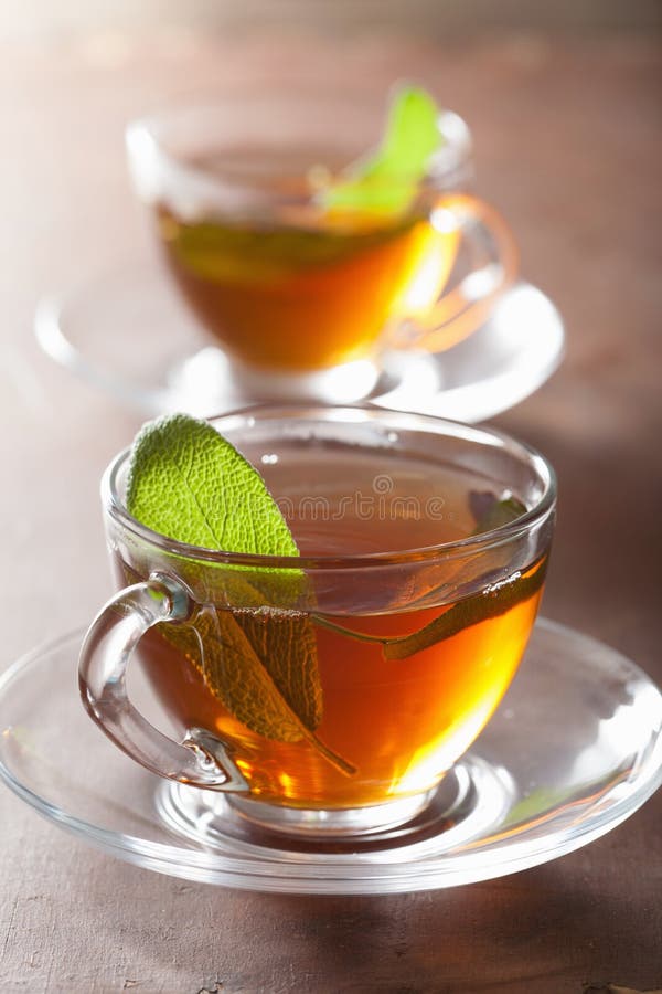 Herbal tea with sage leaf stock image. Image of sage 44391487