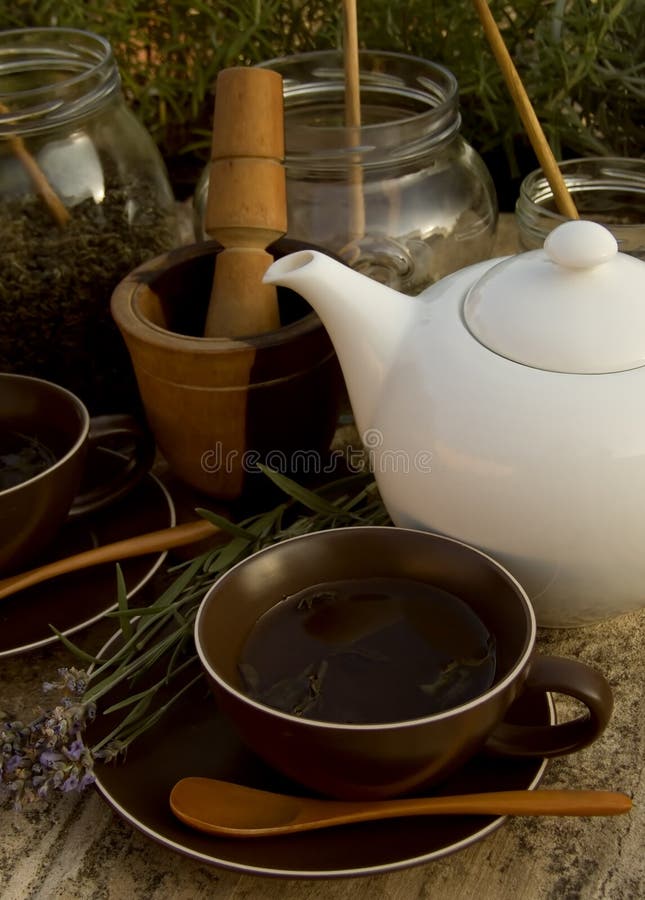 Herbal tea set stock photo. Image of herb, sunlight, nature 5664822