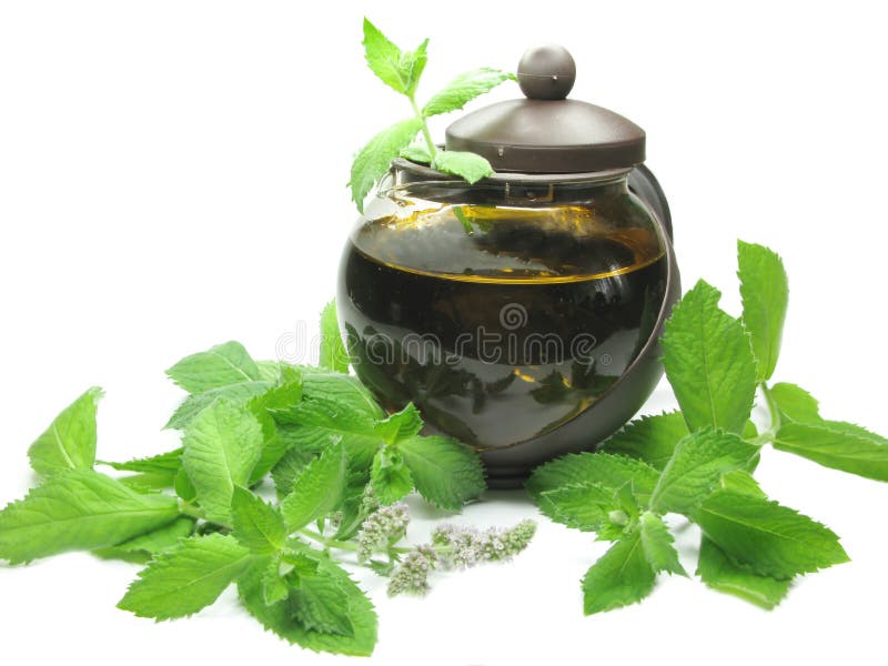 Herbal tea in tea-pot among mint