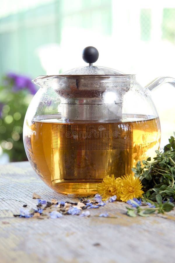 Herbal tea in teapot stock photo. Image of grassy, isolated 14820744