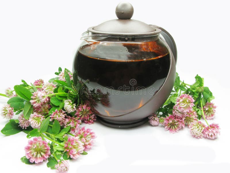 Herbal Tea In Teapot Picture. Image 15027299