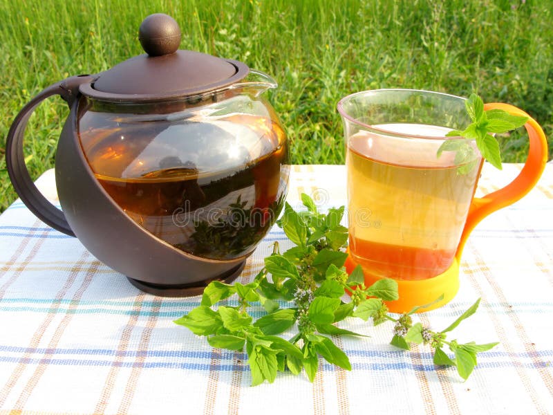Herbal Tea and Teapot with Fresh Mint Stock Image Image of healthy