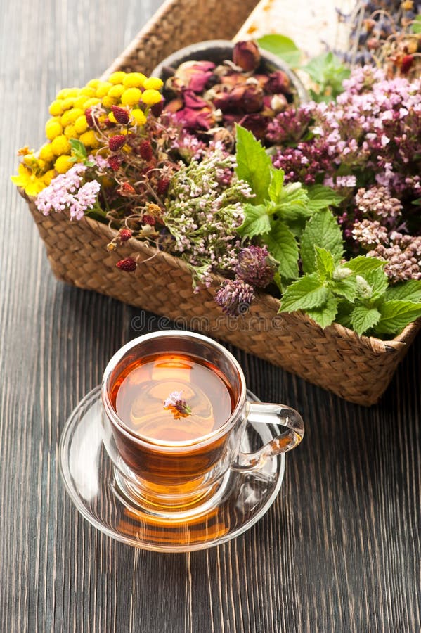Herbal Tea and Various Herbs Stock Image Image of chamomilla
